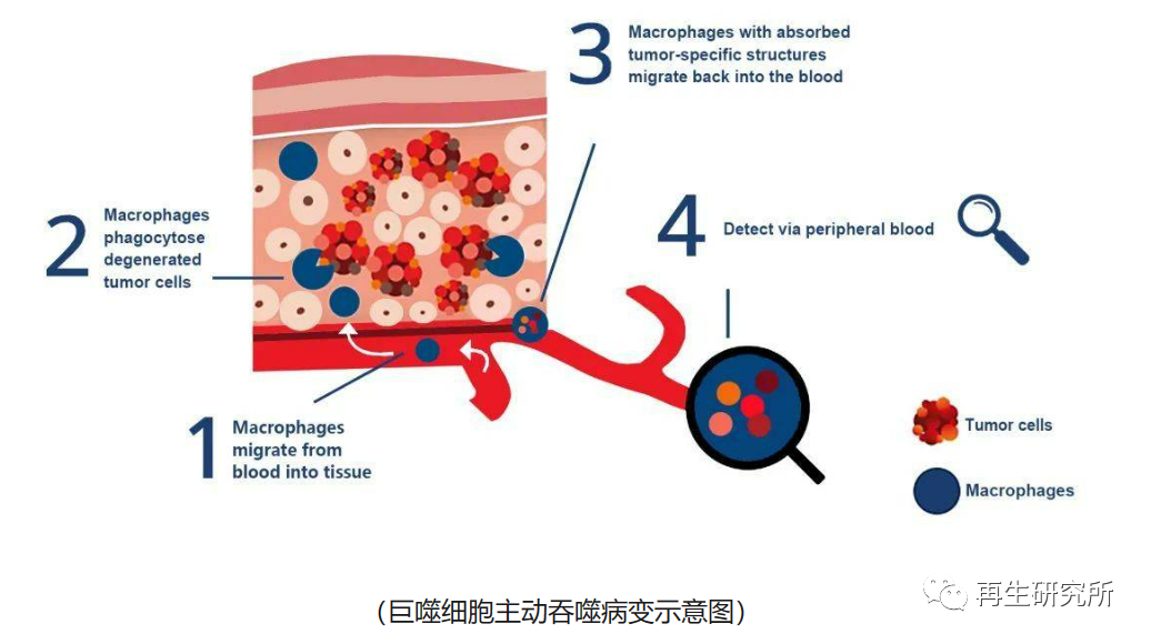 &#33521;&#22269;&#19978;&#24066;&#20844;&#21496;&#23448;&#32593;&#51;&#54;&#53;&#40;&#20013;&#22269;&#41;&#32929;&#20221;&#26377;&#38480;&#20844;&#21496;